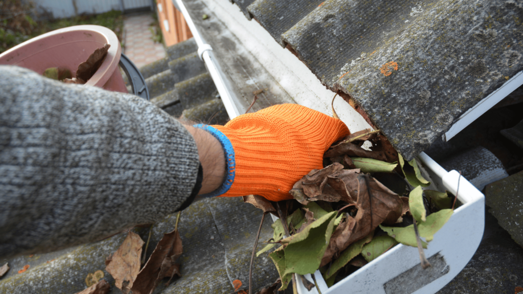 5 reasons to keep your gutters clean